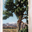 Joshua Palm On The Desert California Linen Postcard 1940's - TulipStuff