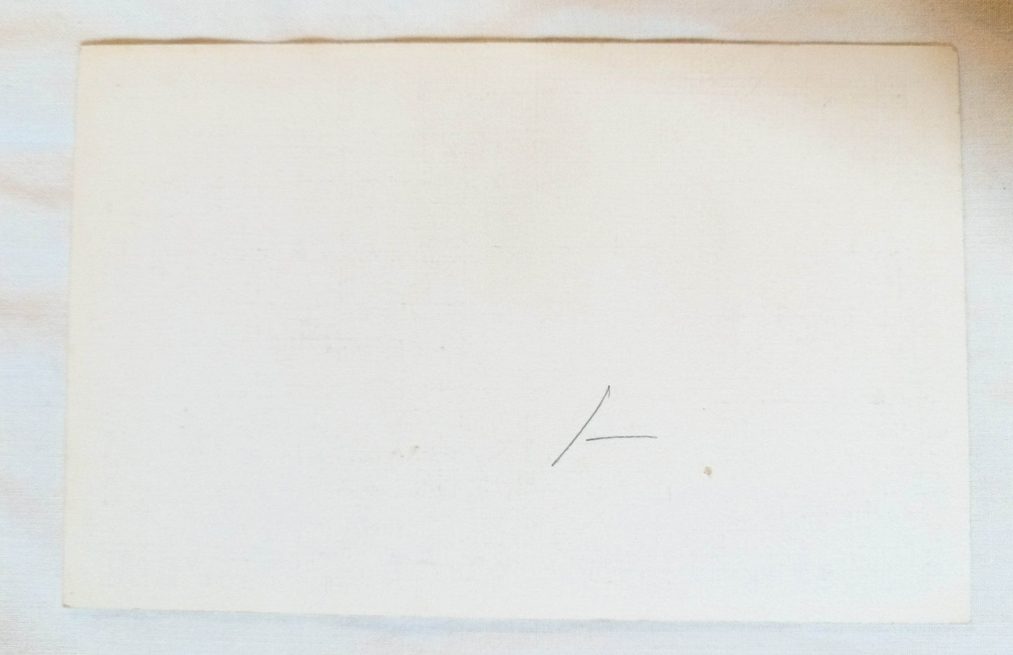 Joshua Palm On The Desert California Linen Postcard 1940's - TulipStuff