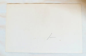 Joshua Palm On The Desert California Linen Postcard 1940's - TulipStuff