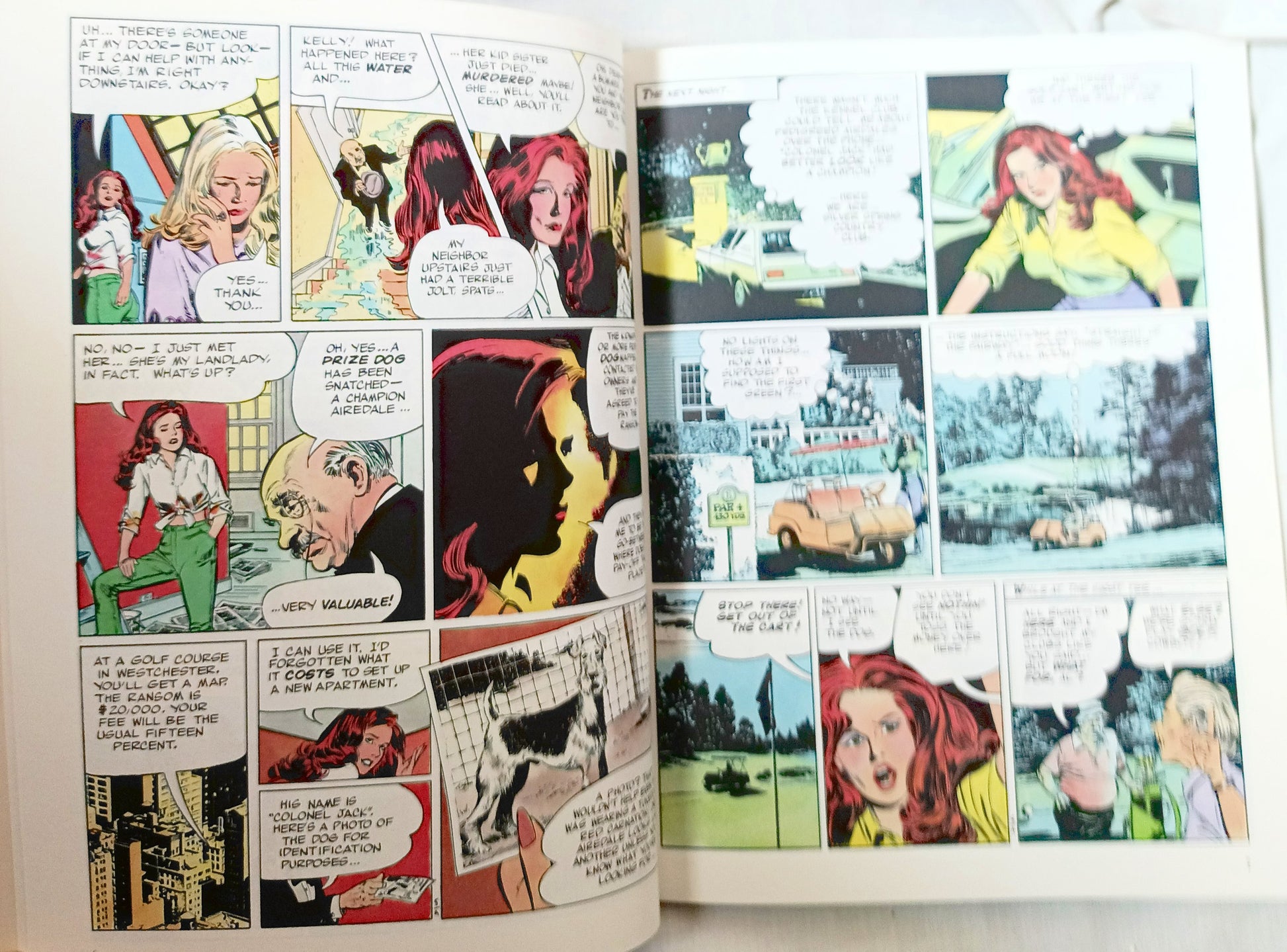 Kelly Green #2 One Two Three Die Stan Drake Leonard Starr Dargaud 1983 - TulipStuff