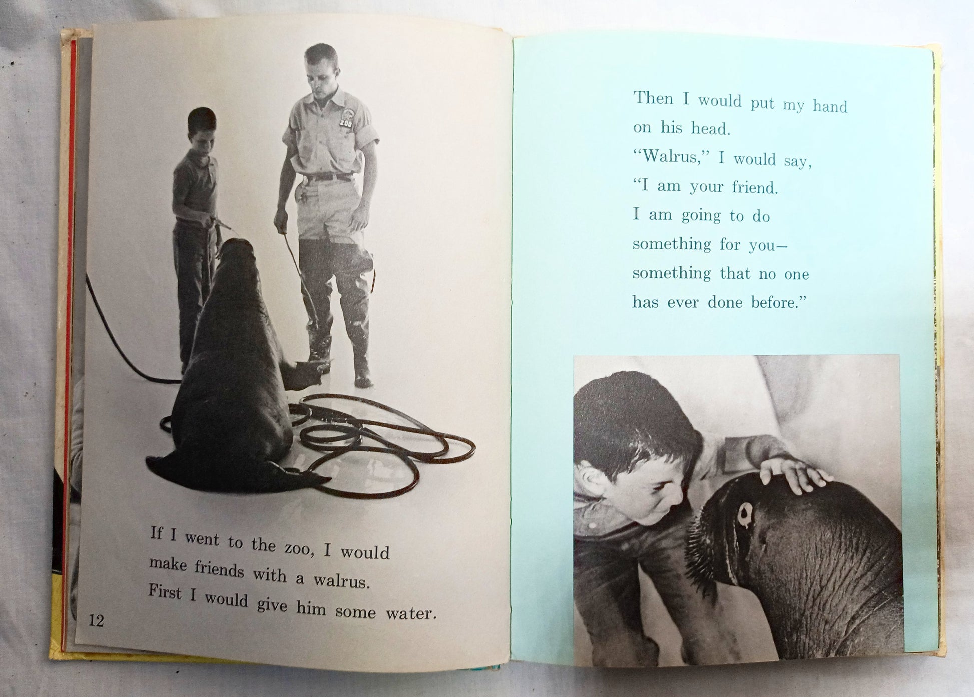 I Was Kissed By A Seal At The Zoo Helen Palmer Beginner Books 1962  TulipStuff