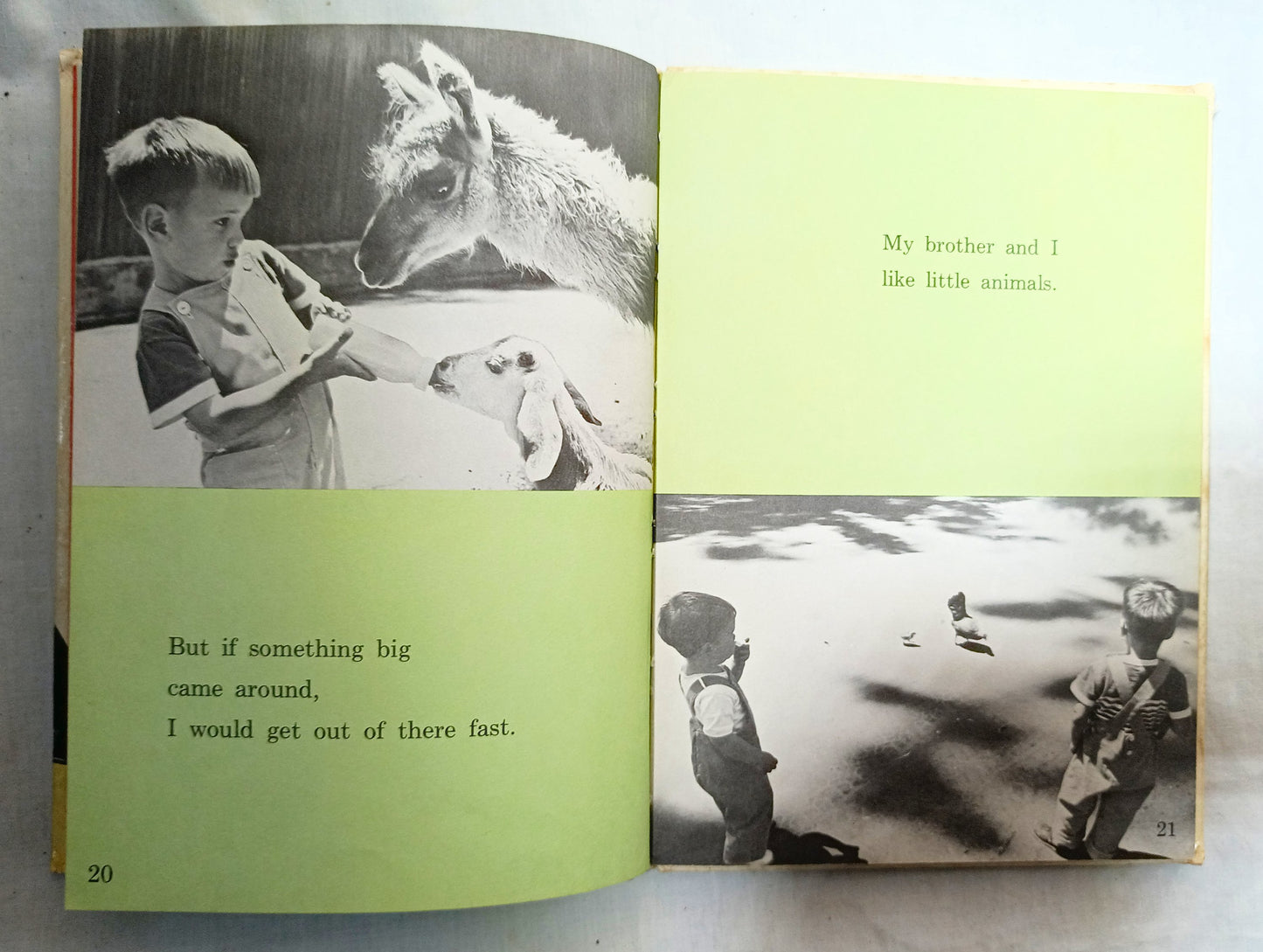 I Was Kissed By A Seal At The Zoo Helen Palmer Beginner Books 1962  TulipStuff