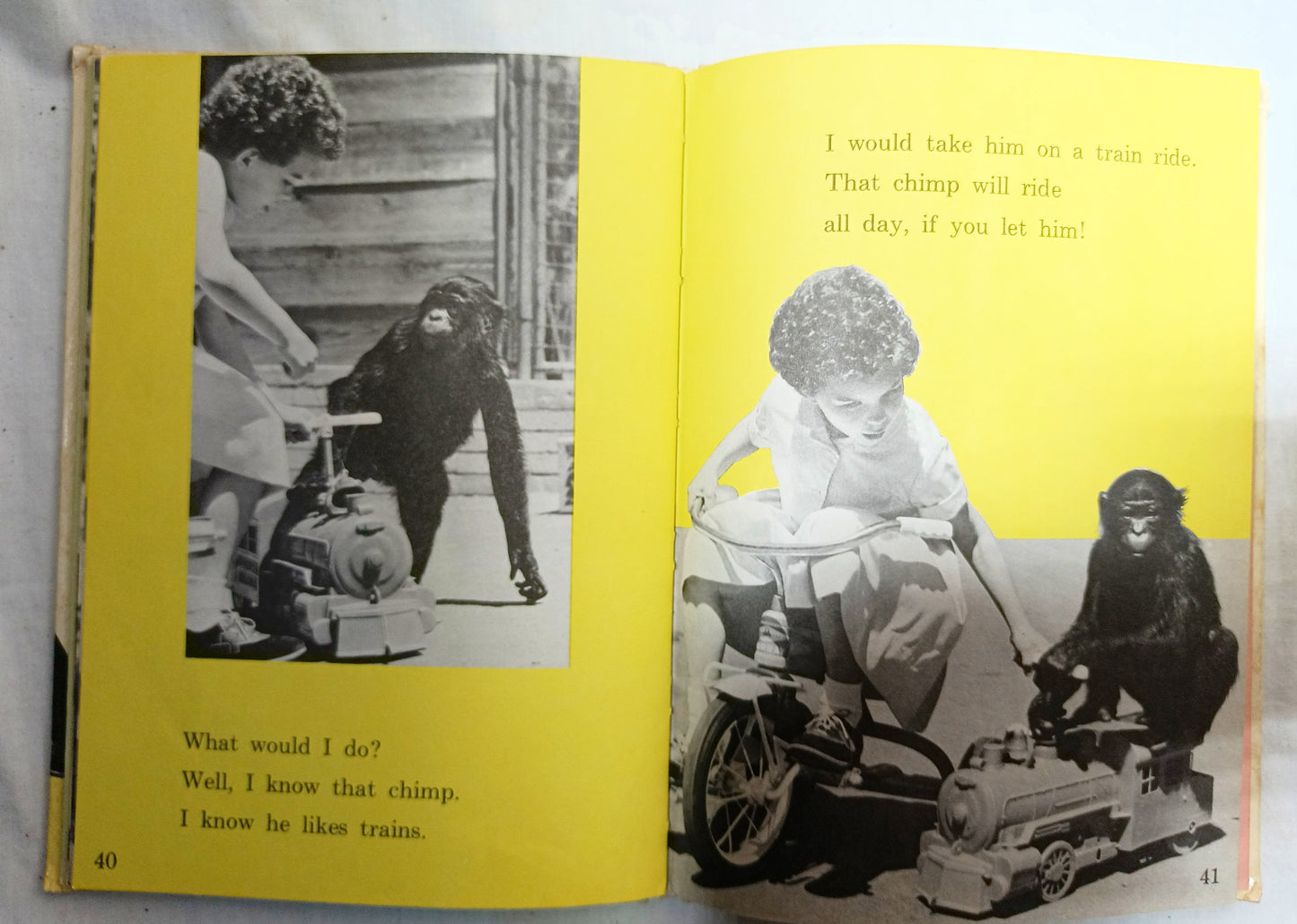 I Was Kissed By A Seal At The Zoo Helen Palmer Beginner Books 1962  TulipStuff