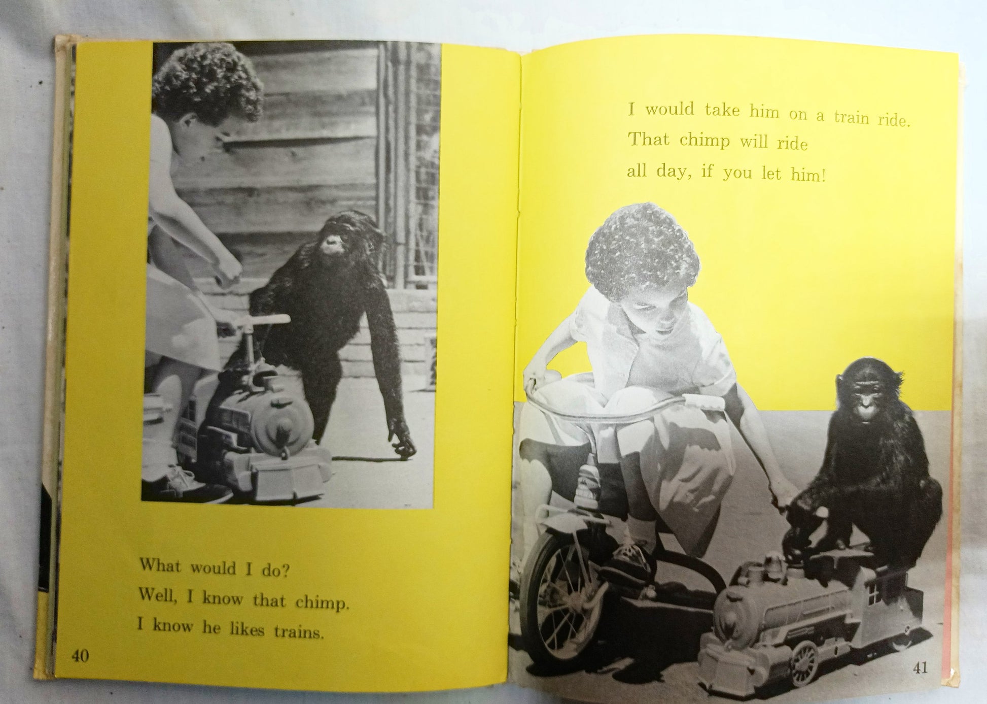 I Was Kissed By A Seal At The Zoo Helen Palmer Beginner Books 1962  TulipStuff