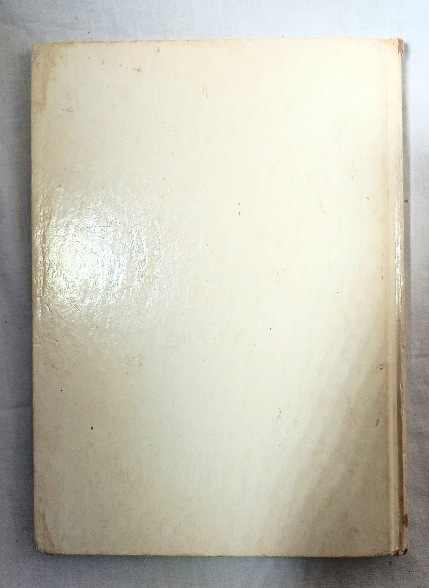I Was Kissed By A Seal At The Zoo Helen Palmer Beginner Books 1962  TulipStuff
