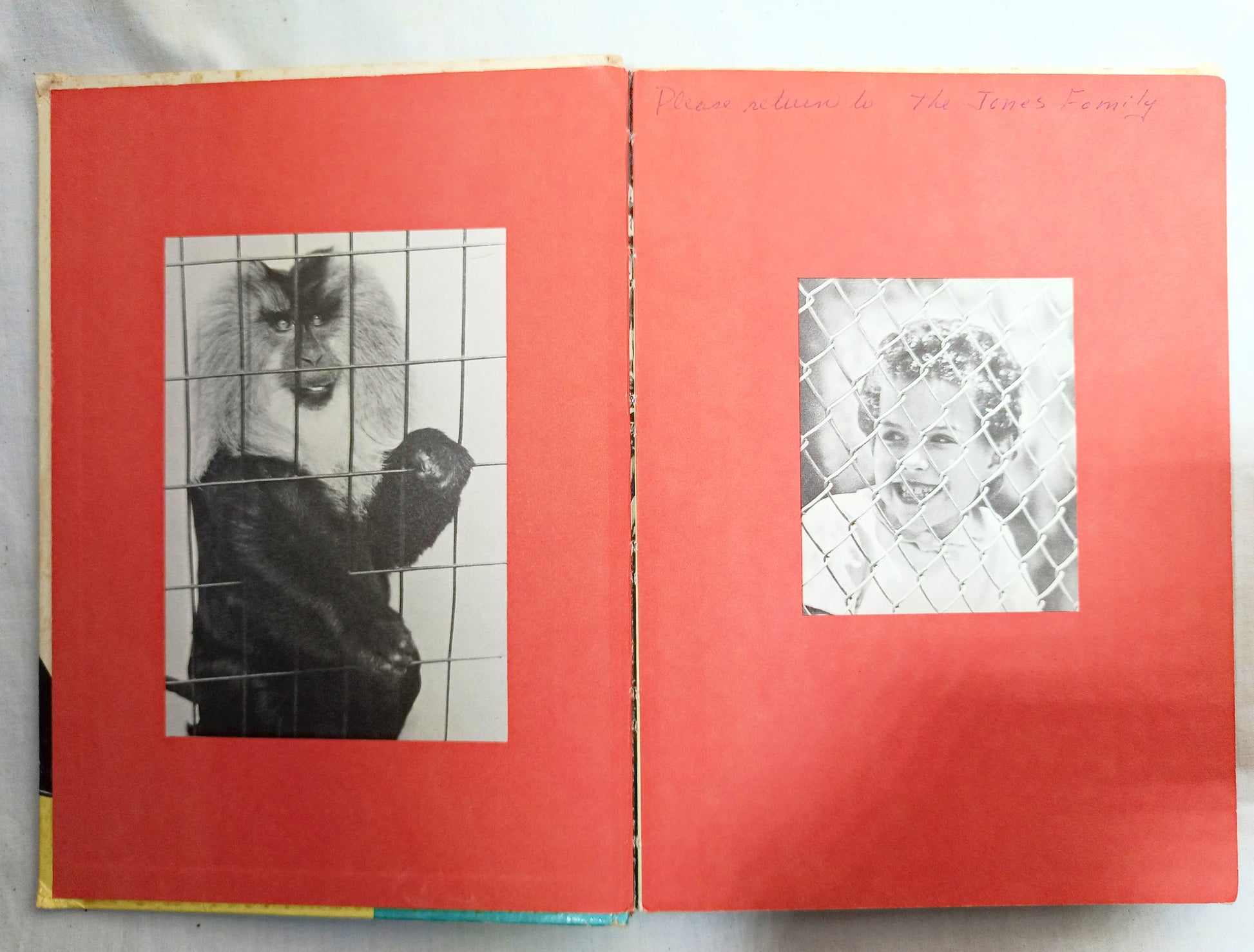 I Was Kissed By A Seal At The Zoo Helen Palmer Beginner Books 1962  TulipStuff