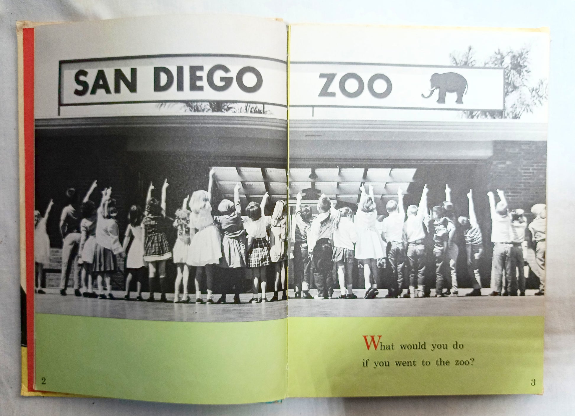 I Was Kissed By A Seal At The Zoo Helen Palmer Beginner Books 1962  TulipStuff