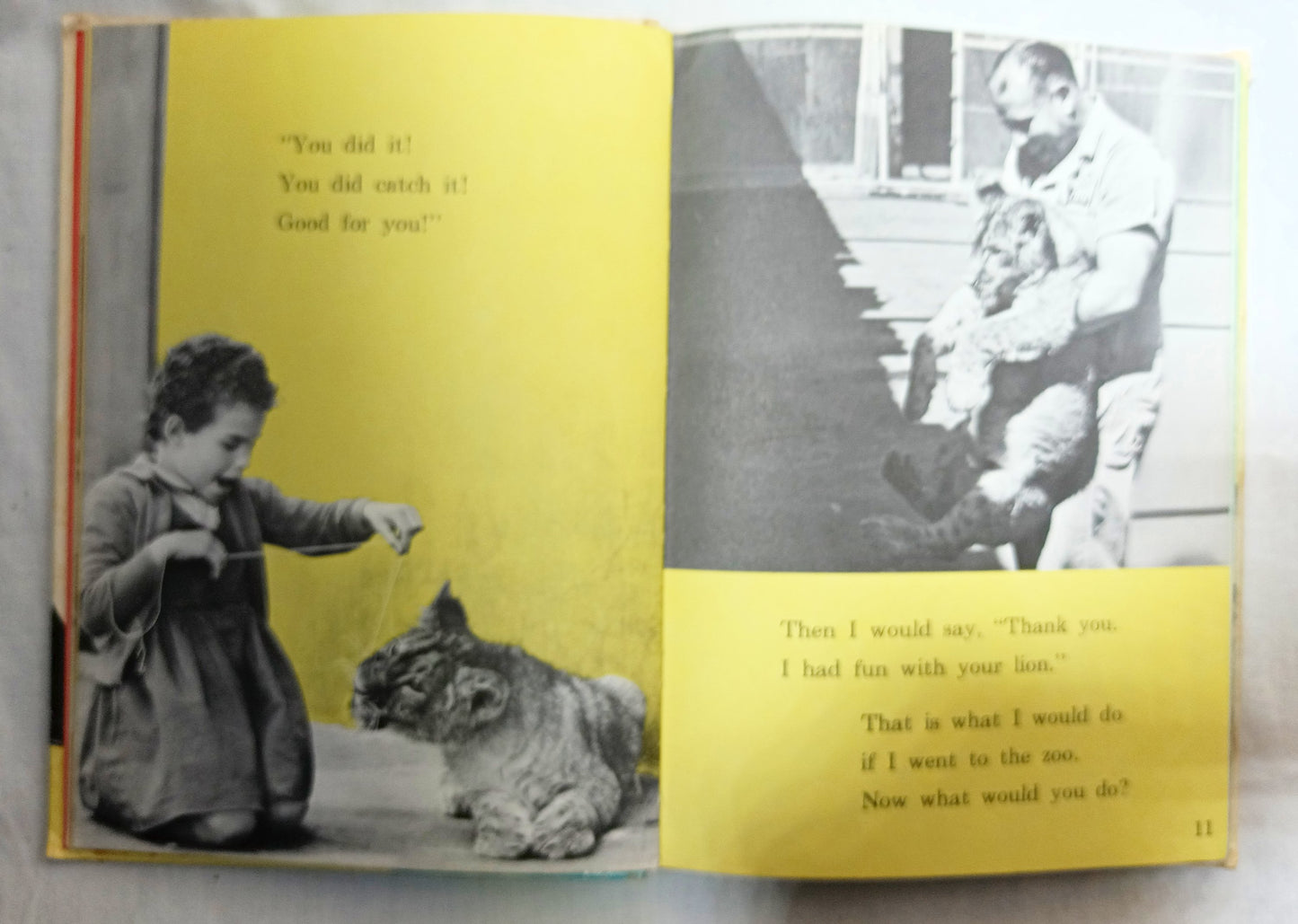 I Was Kissed By A Seal At The Zoo Helen Palmer Beginner Books 1962  TulipStuff