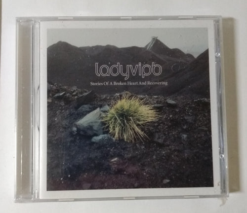 Ladyvipb Stories Of A Broken Heart And Recovering House Music CD 2000 - TulipStuff