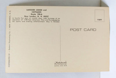 Lakeside Lodge And Cottages New London New Hampshire Postcard 1960's - TulipStuff