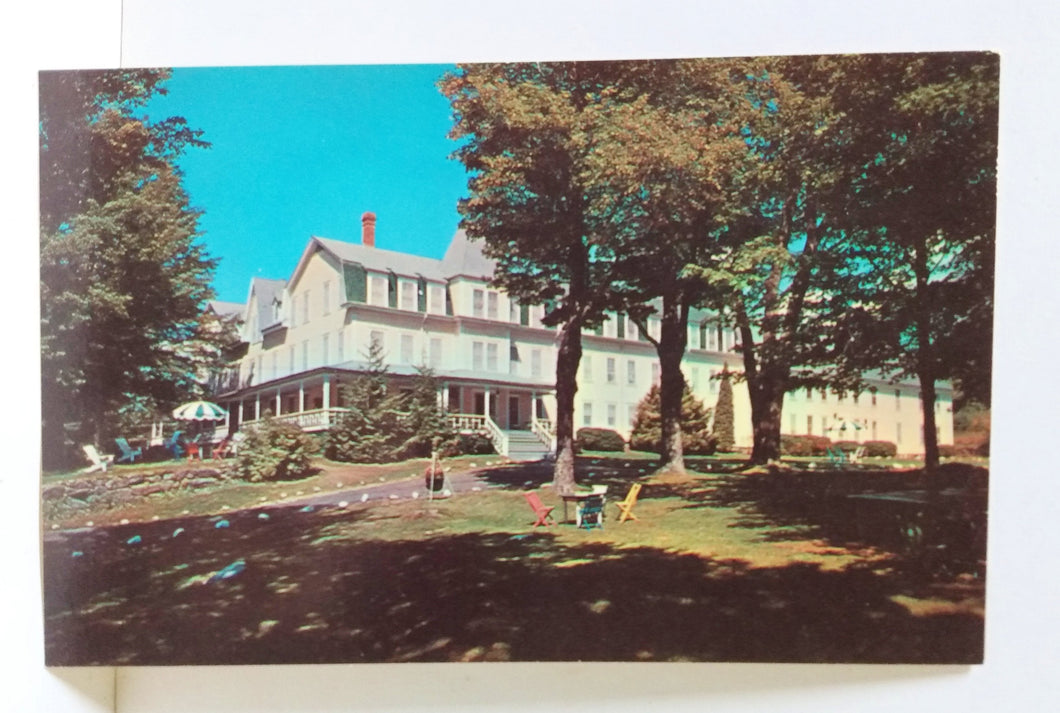 Lakeside Lodge And Cottages New London New Hampshire Postcard 1960's - TulipStuff