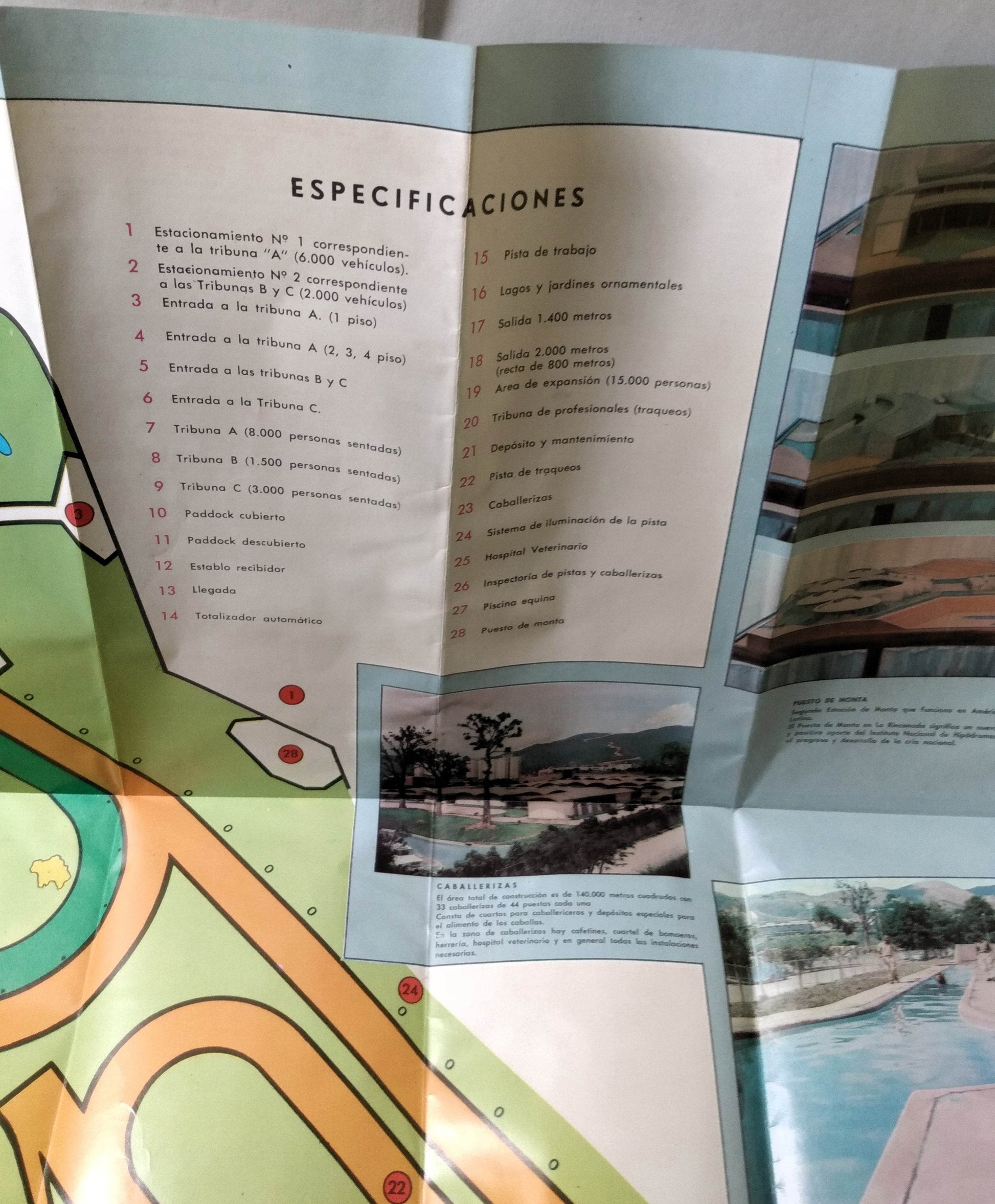 La Rinconada Hipodromos Horse Racing Race Track Caracas Venezuela 1967 - TulipStuff