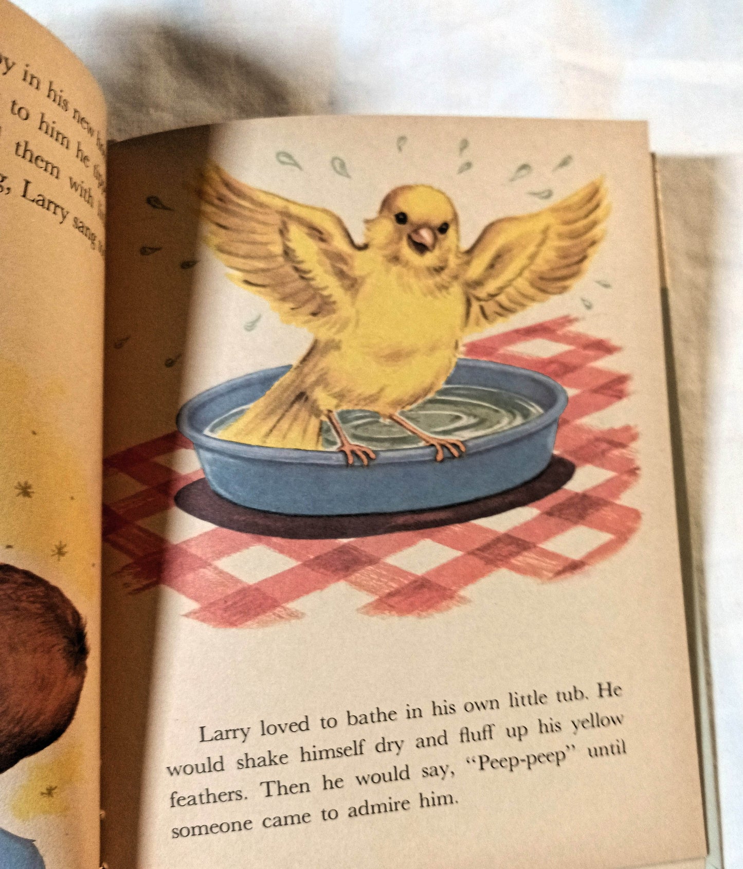 Larry The Canary Ellen Wilkie Rand McNally Elf Book Hardcover 1959 - TulipStuff