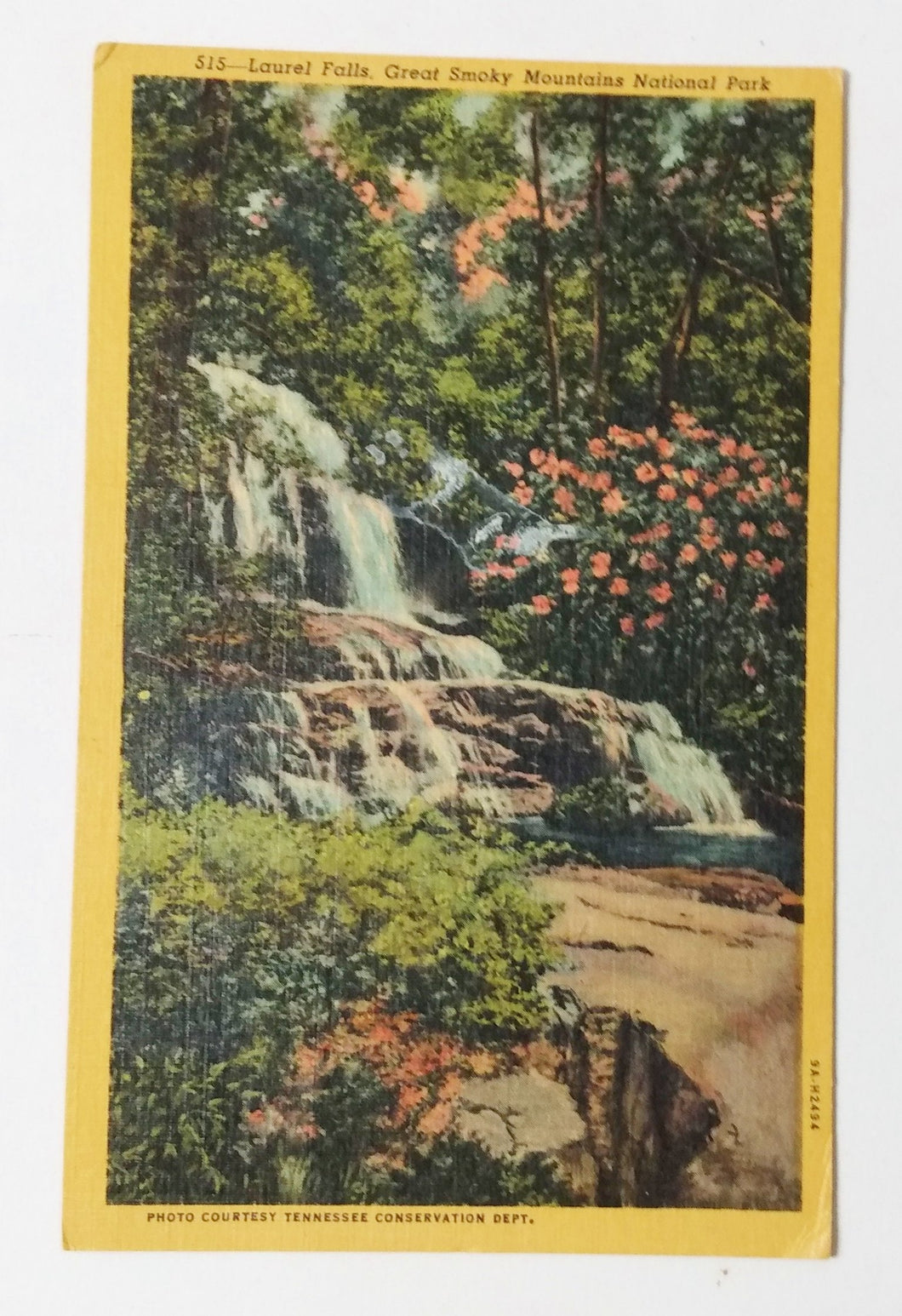 Laurel Falls Great Smoky Mountains National Park 1950's Linen Postcard - TulipStuff
