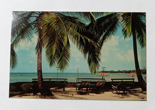 Scene From Le Bistro St James Barbados Postcard 1950's - TulipStuff