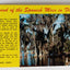 Legend Of The Spanish Moss In Florida Postcard 1983 - TulipStuff