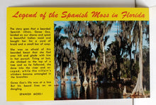 Load image into Gallery viewer, Legend Of The Spanish Moss In Florida Postcard 1983 - TulipStuff
