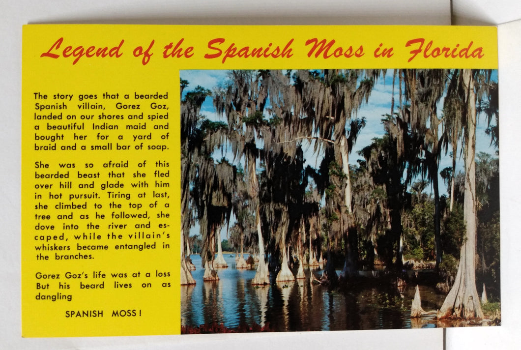 Legend Of The Spanish Moss In Florida Postcard 1983 - TulipStuff