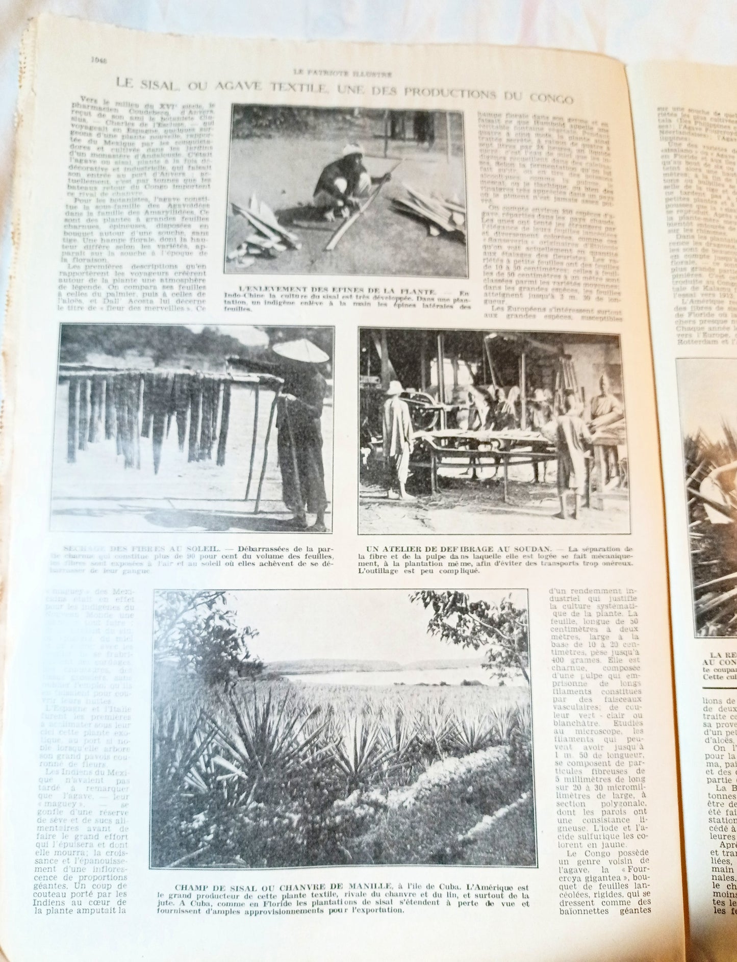 Le Patriote Illustre August 16 1936 Berlin Olympics Spanish Civil War - TulipStuff