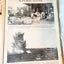 Le Patriote Illustre August 16 1936 Berlin Olympics Spanish Civil War - TulipStuff