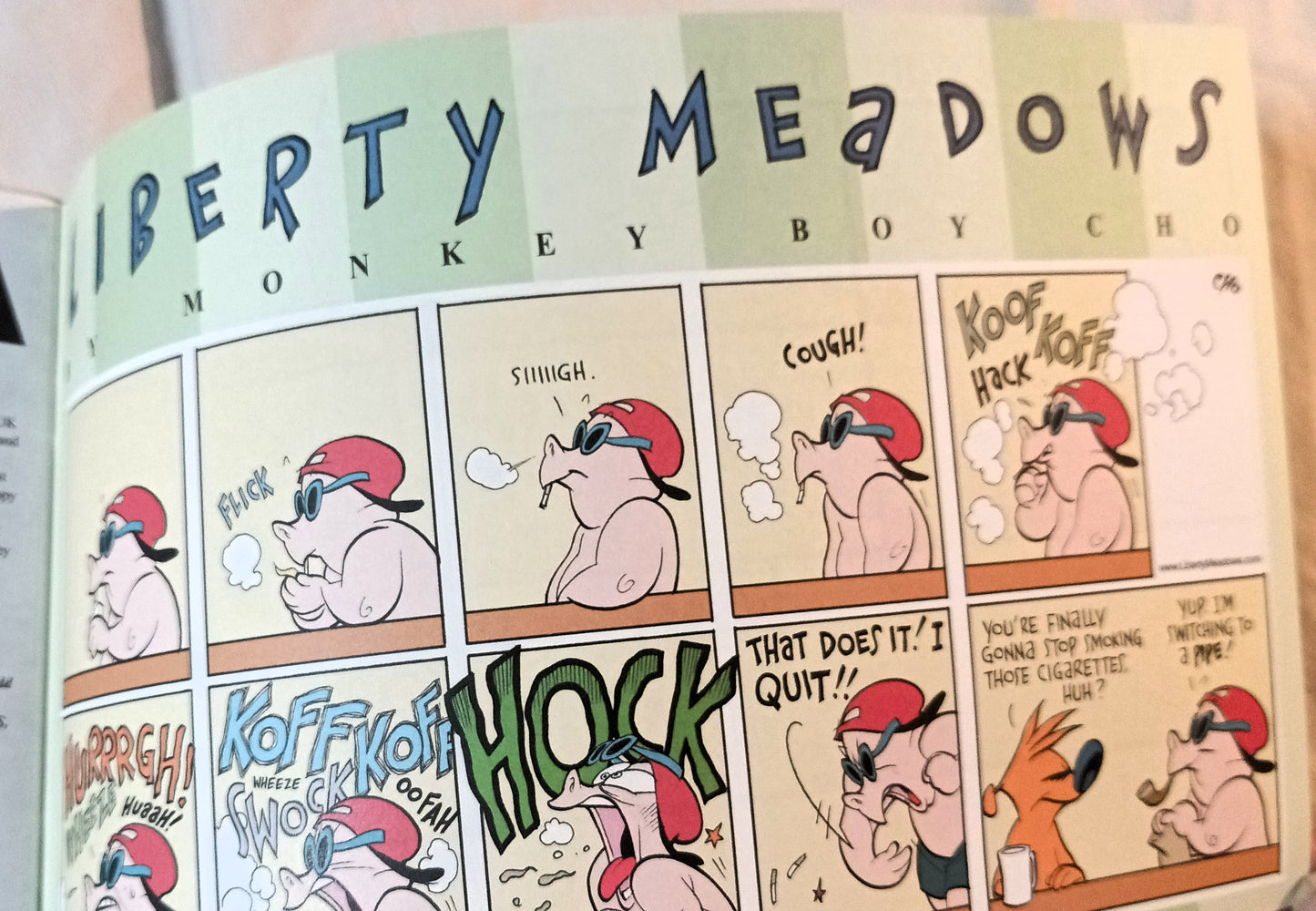 Liberty Meadows #28 October 2002 Image Comics Ralph's DNA Experiment - TulipStuff