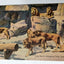 Lion Den In Zoological Park Detroit Michigan Linen Postcard 1940's - TulipStuff