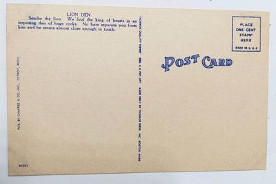 Lion Den In Zoological Park Detroit Michigan Linen Postcard 1940's - TulipStuff