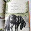 Little Black A Pony Walter Farley Beginner Books Hardcover 1961 - TulipStuff