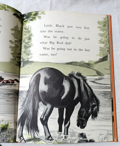 Little Black A Pony Walter Farley Beginner Books Hardcover 1961 - TulipStuff