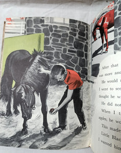 Little Black A Pony Walter Farley Beginner Books Hardcover 1961 - TulipStuff