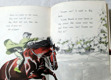 Load image into Gallery viewer, Little Black A Pony Walter Farley Beginner Books Hardcover 1961 - TulipStuff
