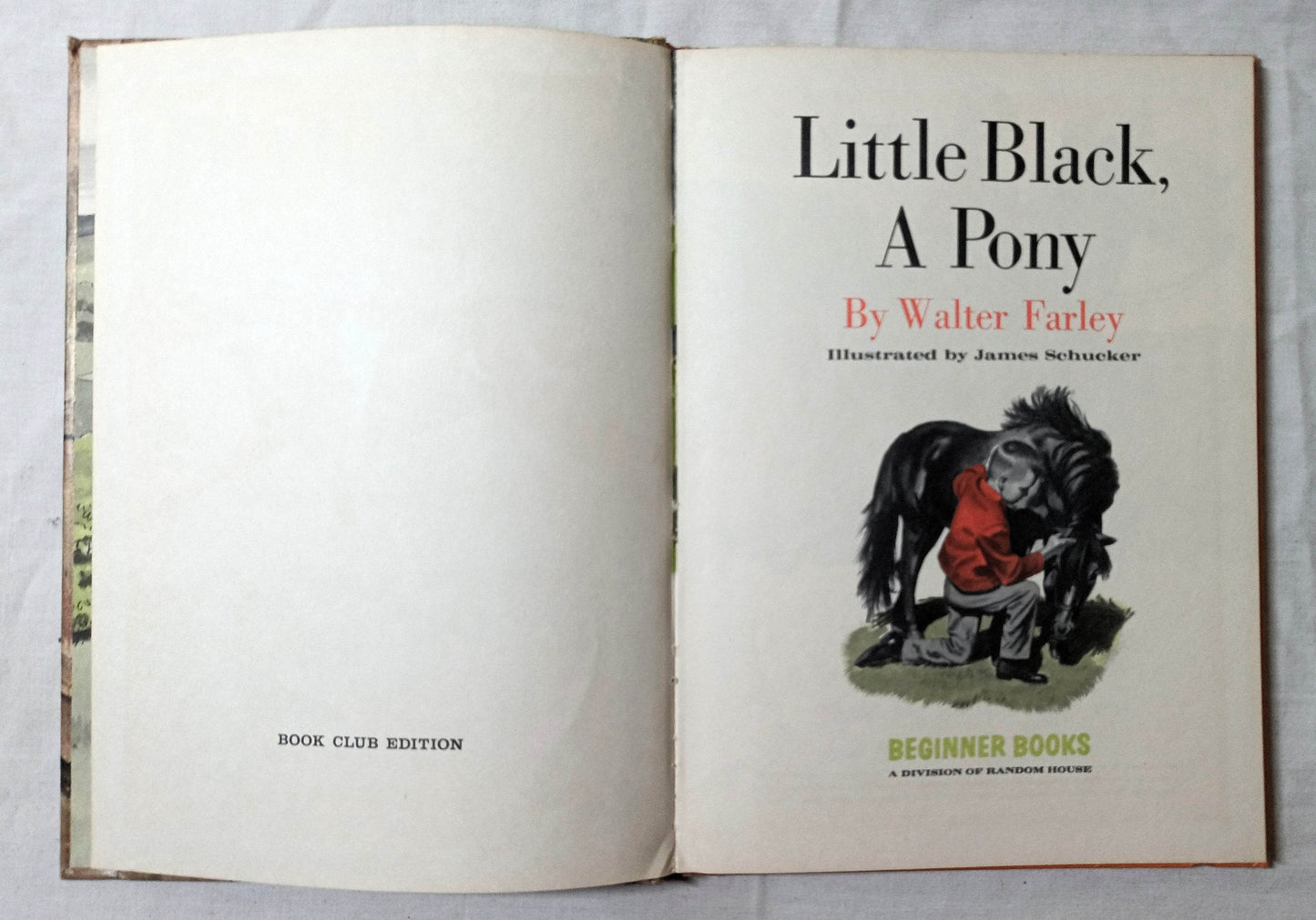Little Black A Pony Walter Farley Beginner Books Hardcover 1961 - TulipStuff