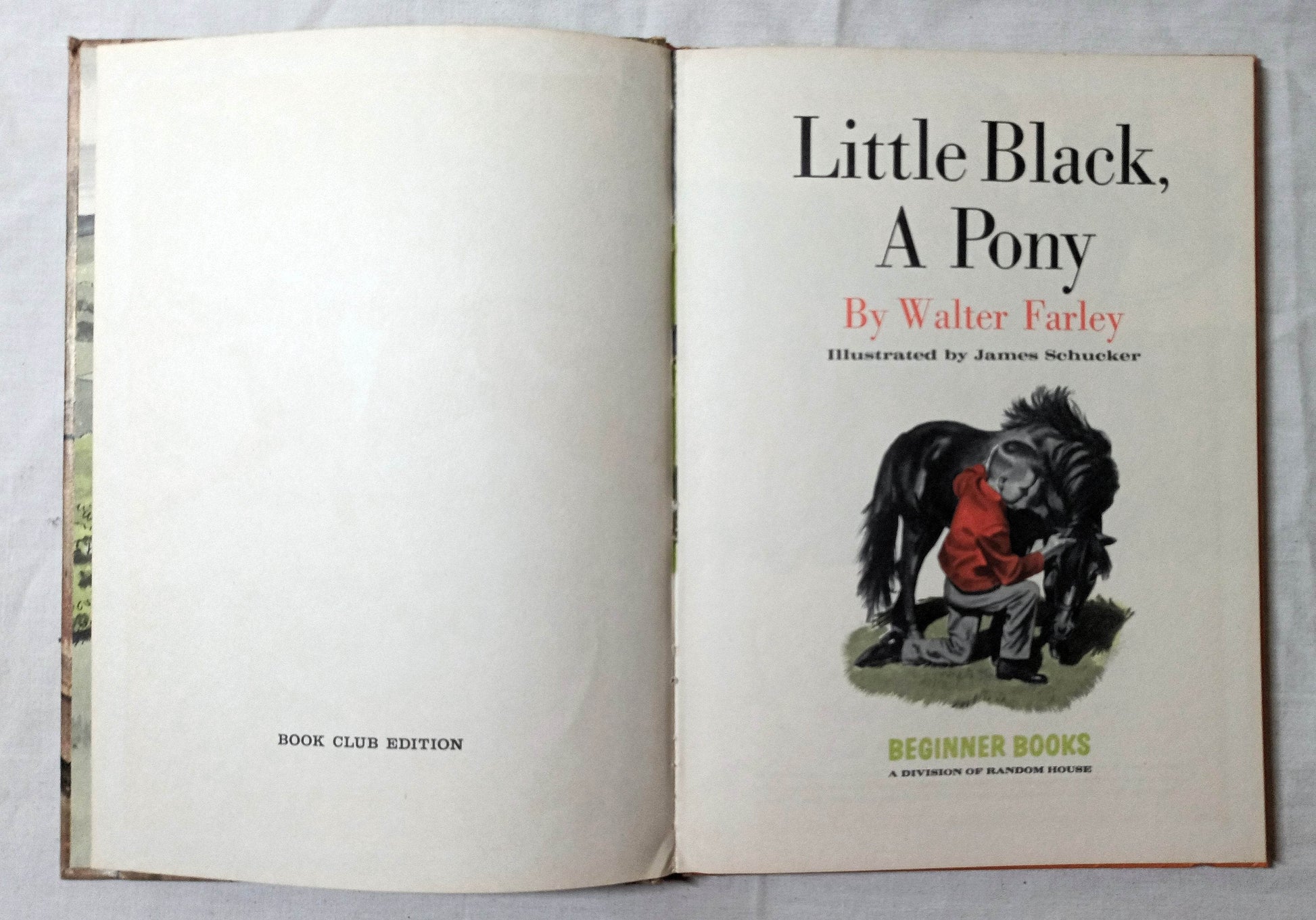 Little Black A Pony Walter Farley Beginner Books Hardcover 1961 - TulipStuff