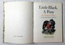 Load image into Gallery viewer, Little Black A Pony Walter Farley Beginner Books Hardcover 1961 - TulipStuff
