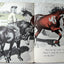 Little Black A Pony Walter Farley Beginner Books Hardcover 1961 - TulipStuff