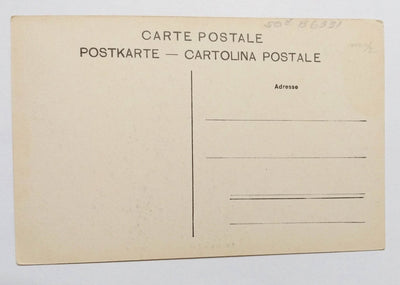 Lugano col Monte San Salvatore Switzerland Postcard 1910's - TulipStuff