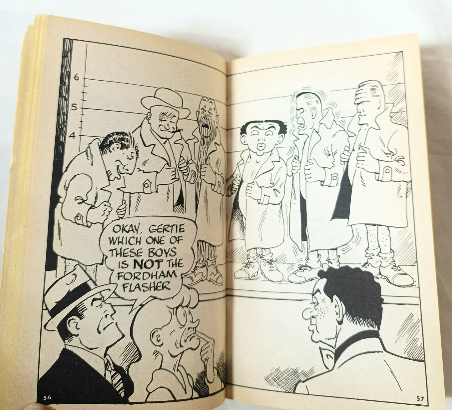 The Mad Book OF Mysteries Lou Silverstone Jack Rickard 1980 - TulipStuff