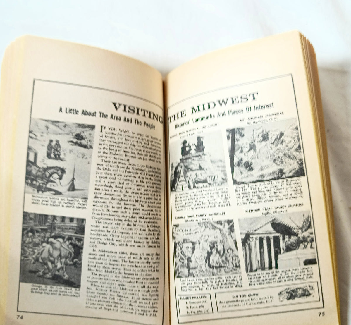 The Mad Sampler William M Gaines Signet P3495 Paperback 1965 - TulipStuff