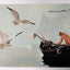A Maine Lobsterman Seagulls 1960's Vintage Artistic Postcard - TulipStuff