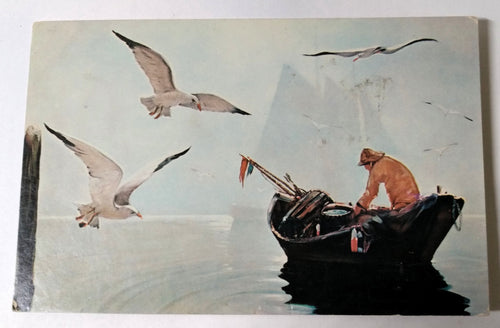 A Maine Lobsterman Seagulls 1960's Vintage Artistic Postcard - TulipStuff