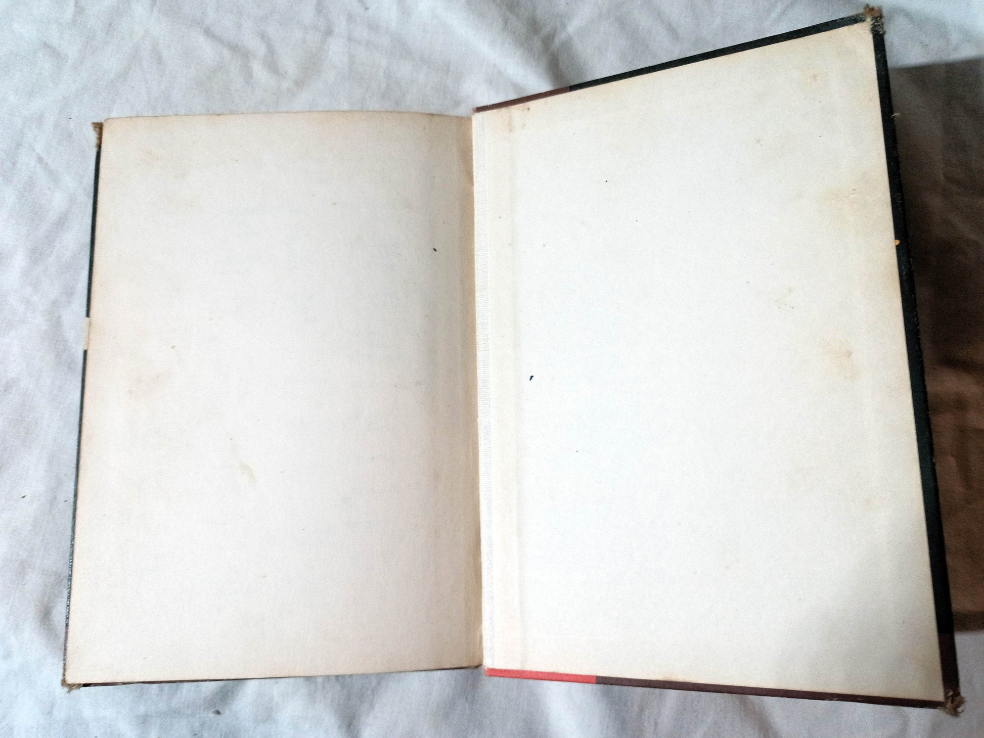 Making Storybook Friends Laidlaw Readers Hardcover Schoolbook 1955 - TulipStuff