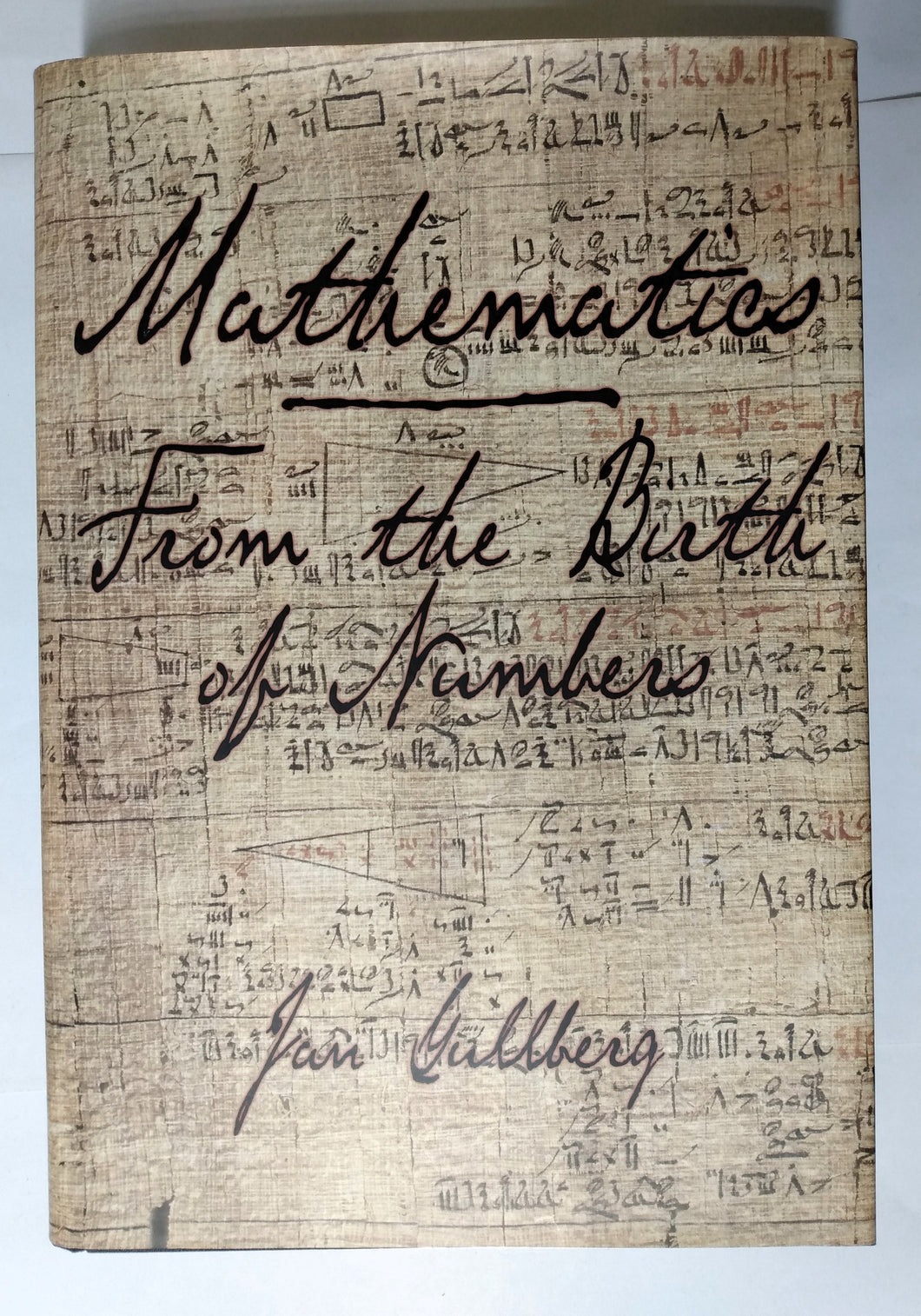 Mathematics: From The Birth Of Numbers Jan Gullberg Hardcover 1997 - TulipStuff