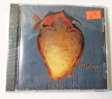 Load image into Gallery viewer, Milagro Georis Blakely Georis Easy Listening Acoustic Album CD Tri-Surf 1995 - TulipStuff
