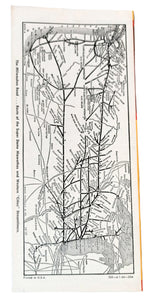 Milwaukee Road Condensed Passenger Train Schedules September  1960 - TulipStuff