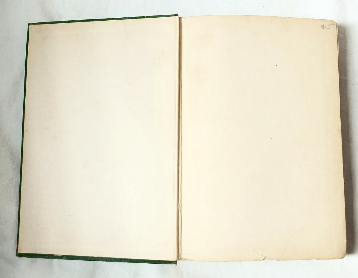 Miser Hoadley's Secret A Detective Story Arthur W. Marchmont 1902 - TulipStuff