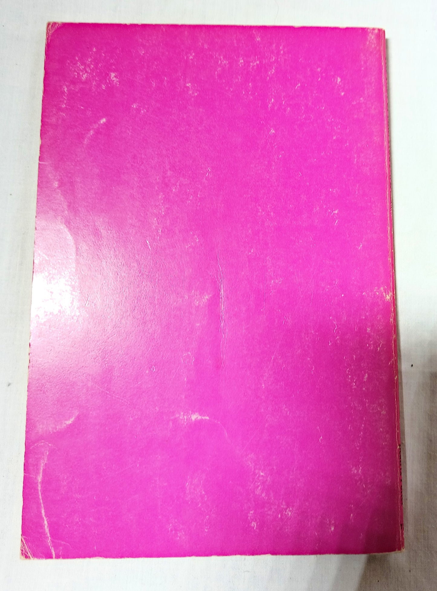 The Tale of Mrs Tiggly-Winkle Beatrix Potter Paperback Grolier 1970's - TulipStuff