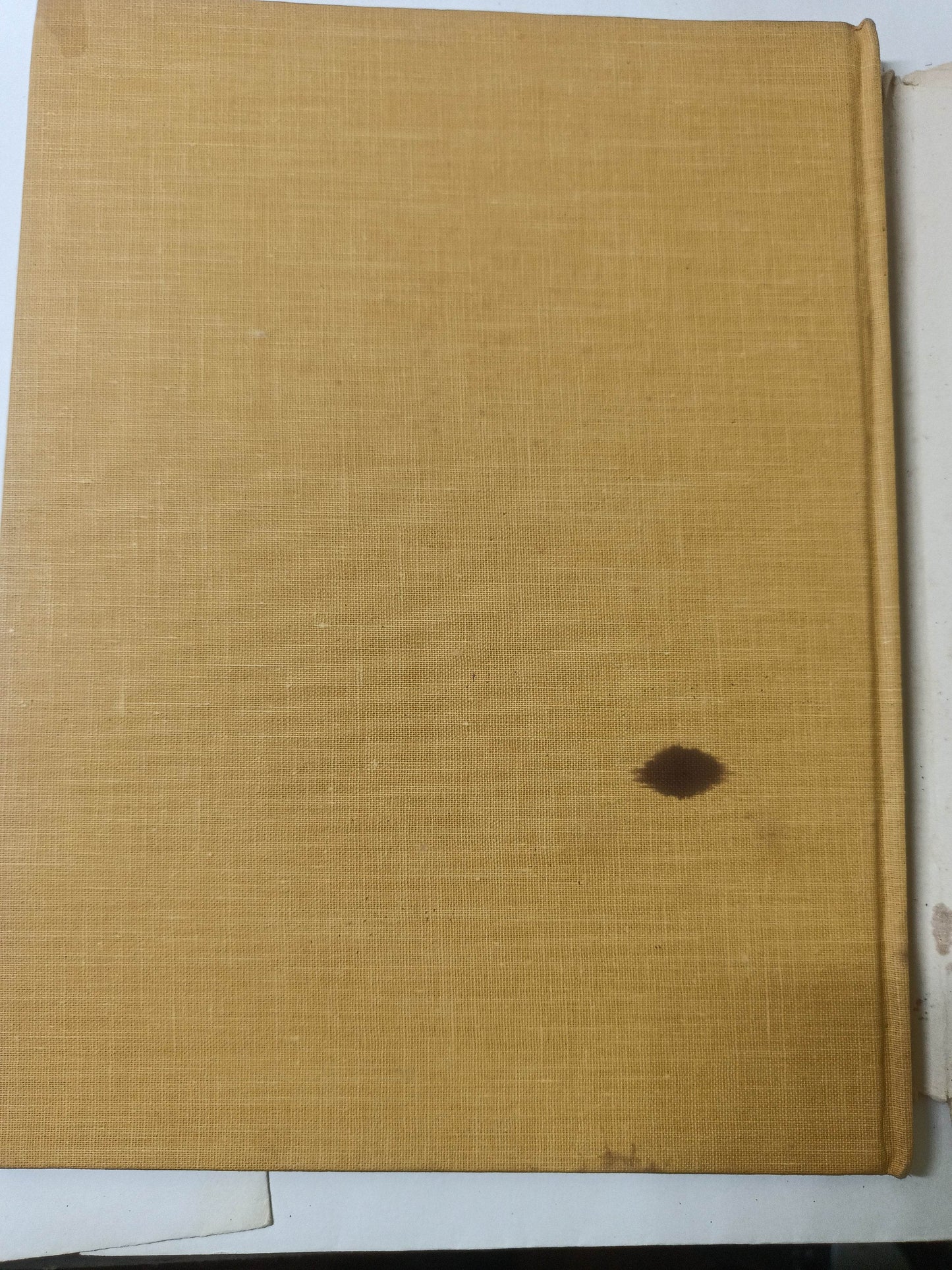 Beginning With Mrs McBee Cecil Maiden Hardcover Vanguard Press 1960 - TulipStuff