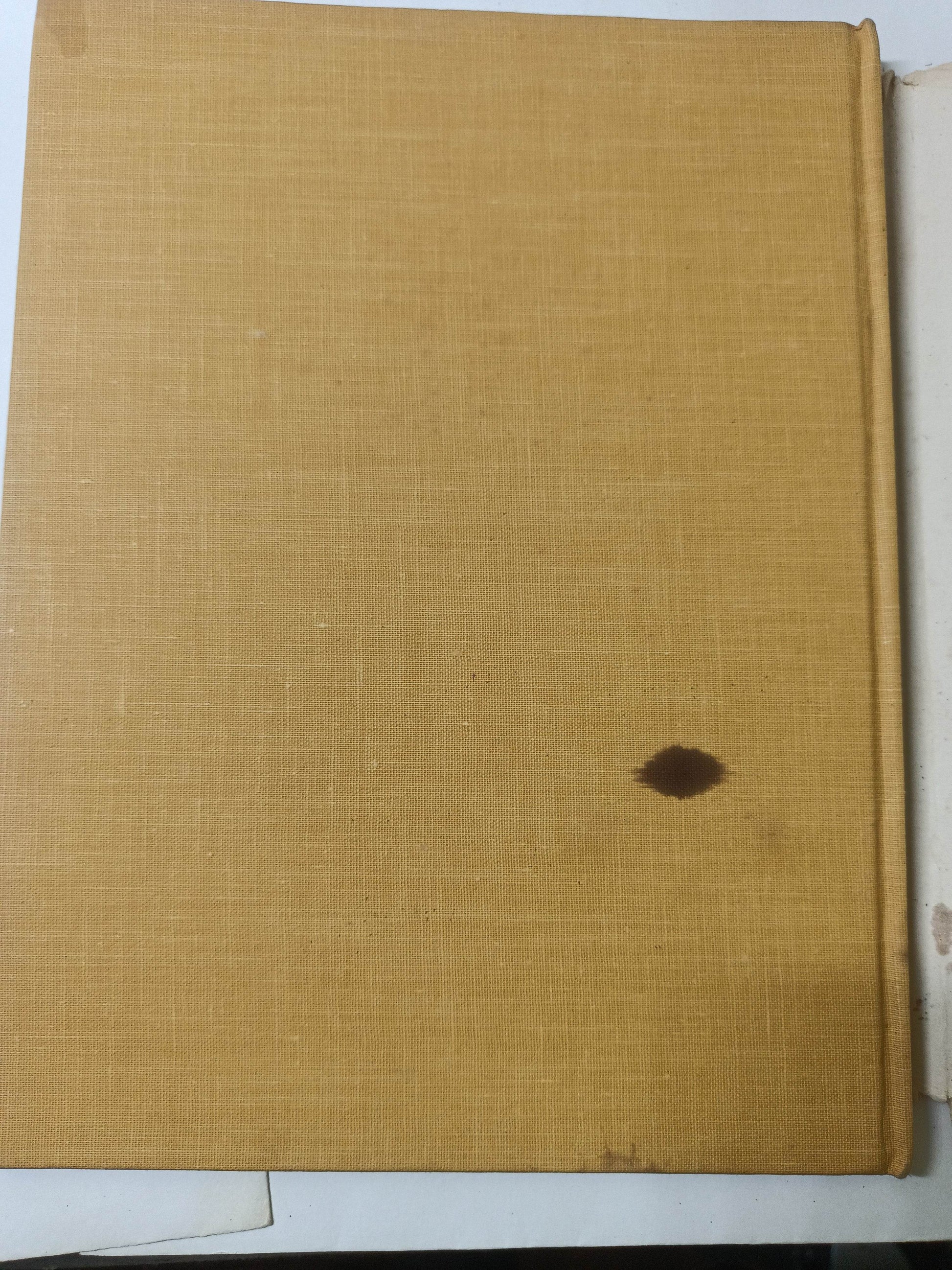 Beginning With Mrs McBee Cecil Maiden Hardcover Vanguard Press 1960 - TulipStuff