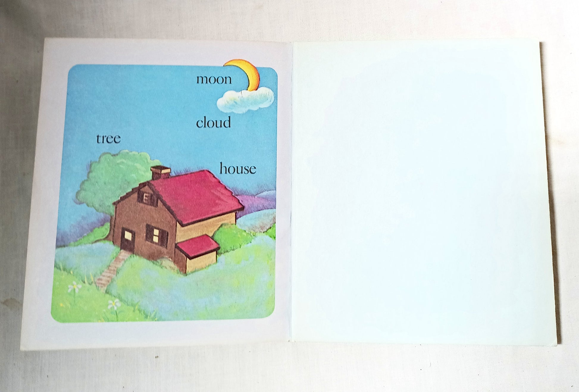 My Book Of Words Rebecca Heller A First Little Golden Book 1982 - TulipStuff
