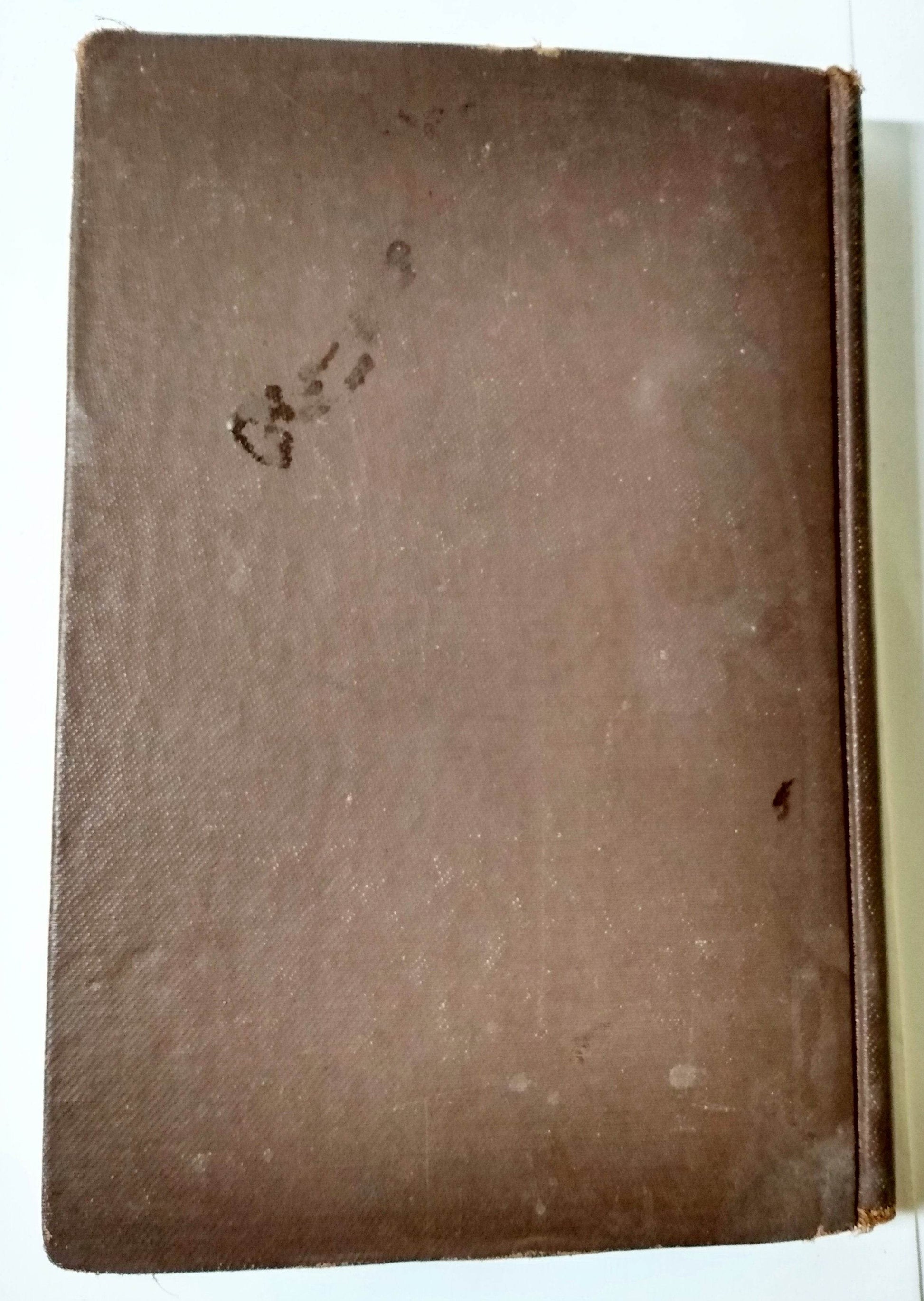 The Mystery Of Black Eagle Island by E.J. Craine Hardcover 1939 - TulipStuff